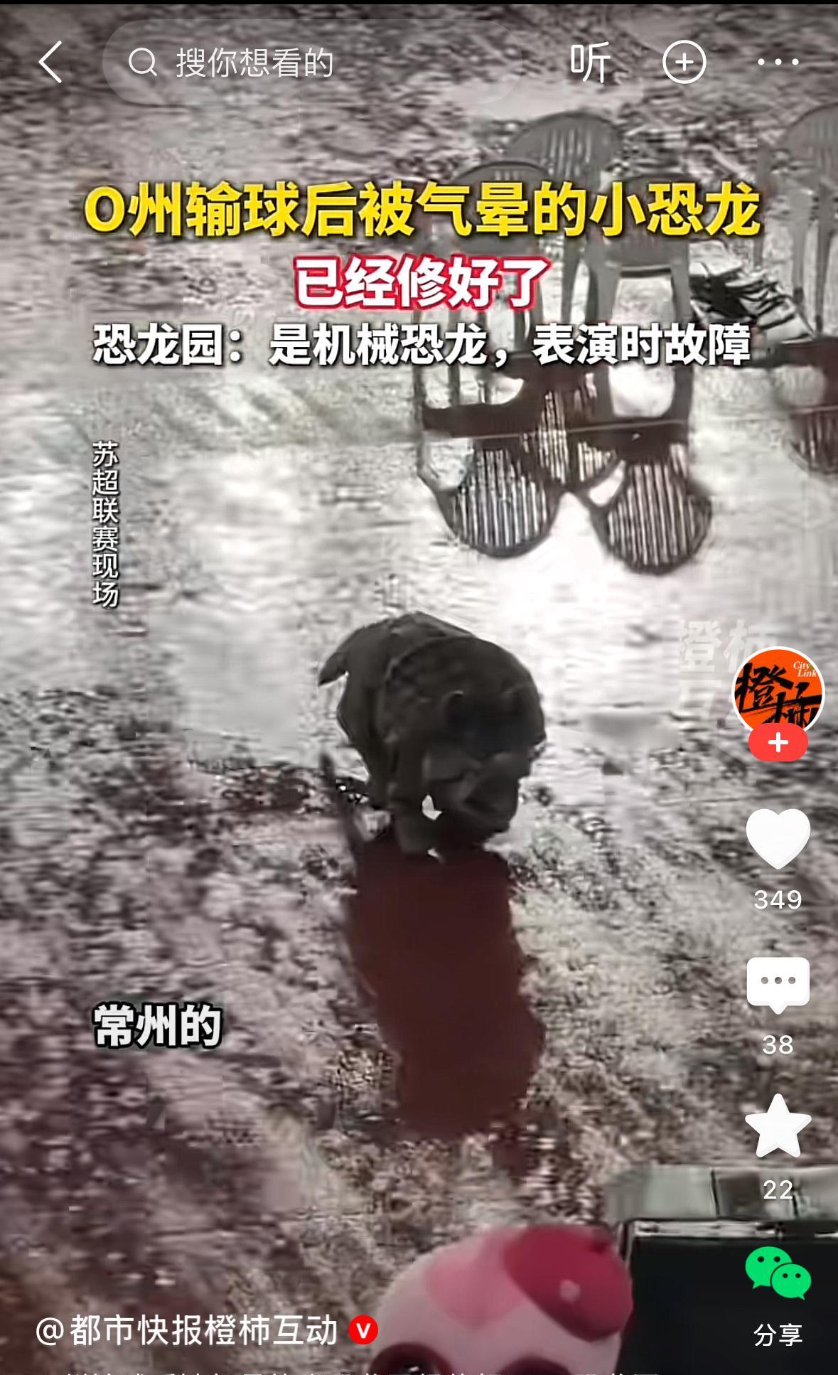#常州队# 记录一下，有一只小恐龙名叫“角角”，也许是因为常州足球队在苏超（江苏