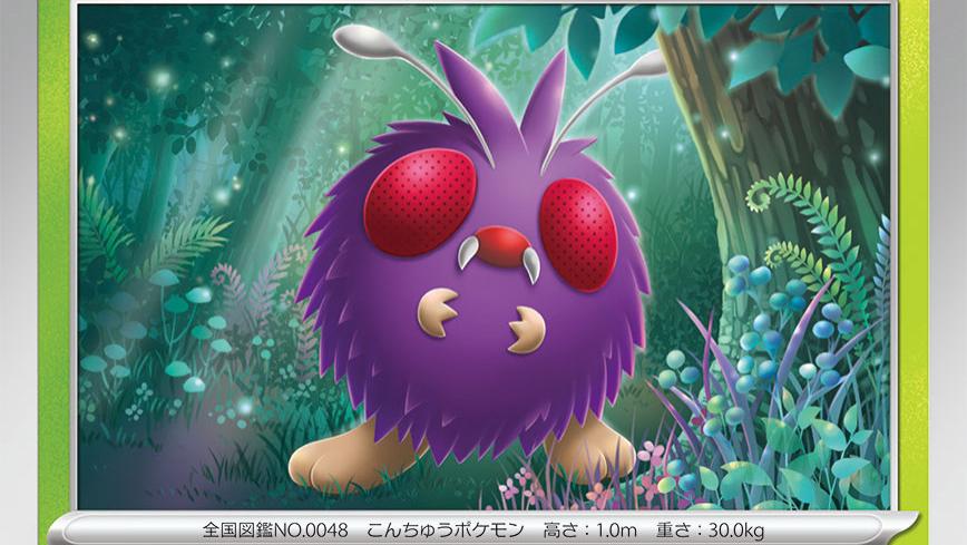 宝可梦卡牌（毛球、摩鲁蛾）