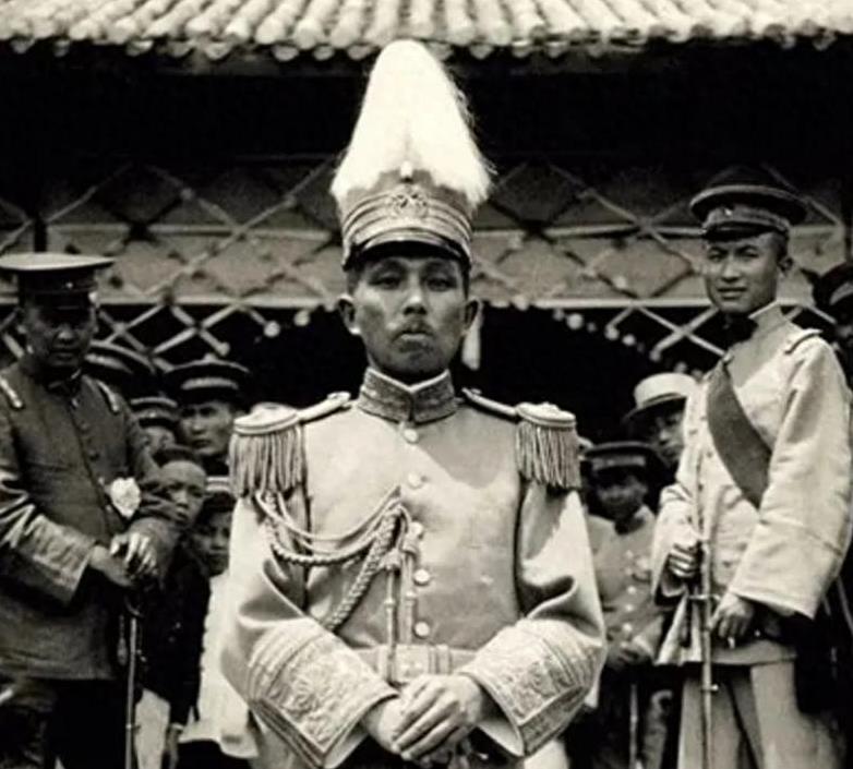1974年，90岁的杨森迎娶了17岁的张灵凤。洞房之夜，就在杨森要行房事时，张灵