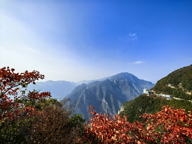 领克09刹车异味问题
天气比较好，自驾到野外看红叶，山路十八弯，上下坡道较大较急