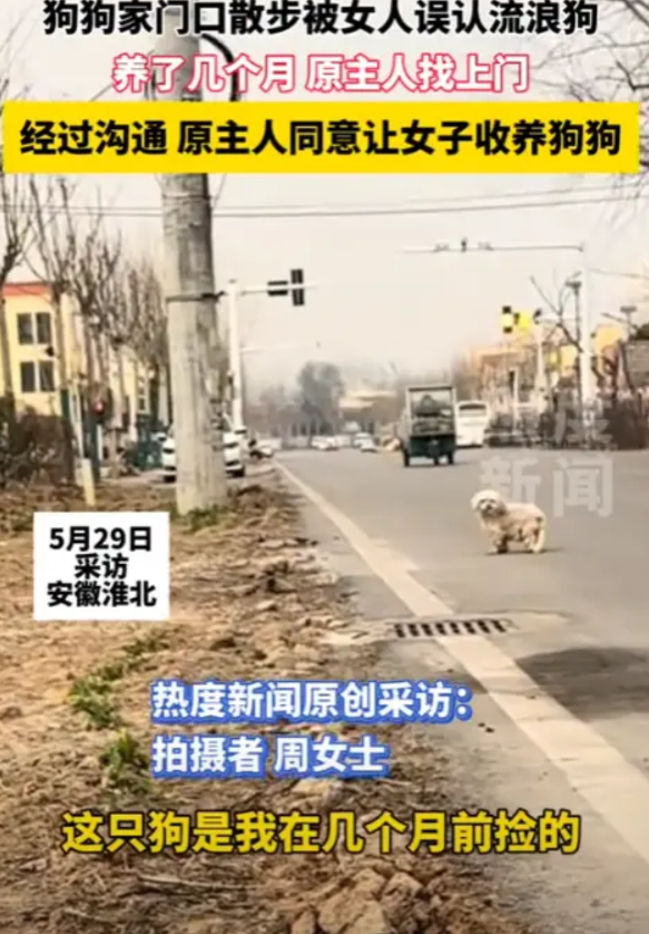 “太尴尬了！”2025年，安徽淮北，一小狗在家门口散步被一女子误认为流浪狗，就捡