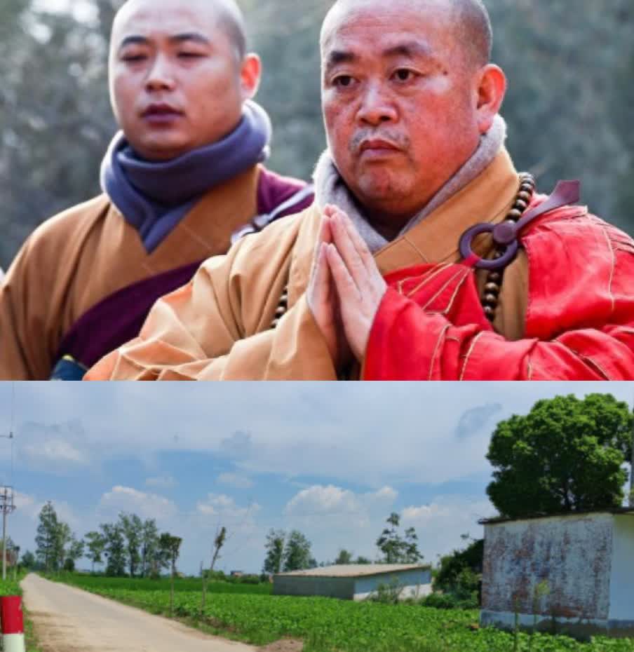 真是越扒越有

释永信的老家

有一条路，竟然

叫永信路

现