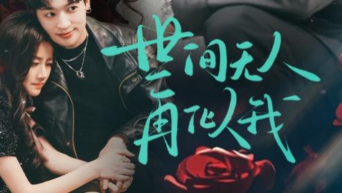 短剧《世间无人再似我》温暖相伴，情满人间--世间无人再似我（32集）贡兴＆游雅