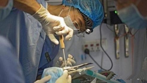 丹顶鹤打架断喙，医生为其装金属喙