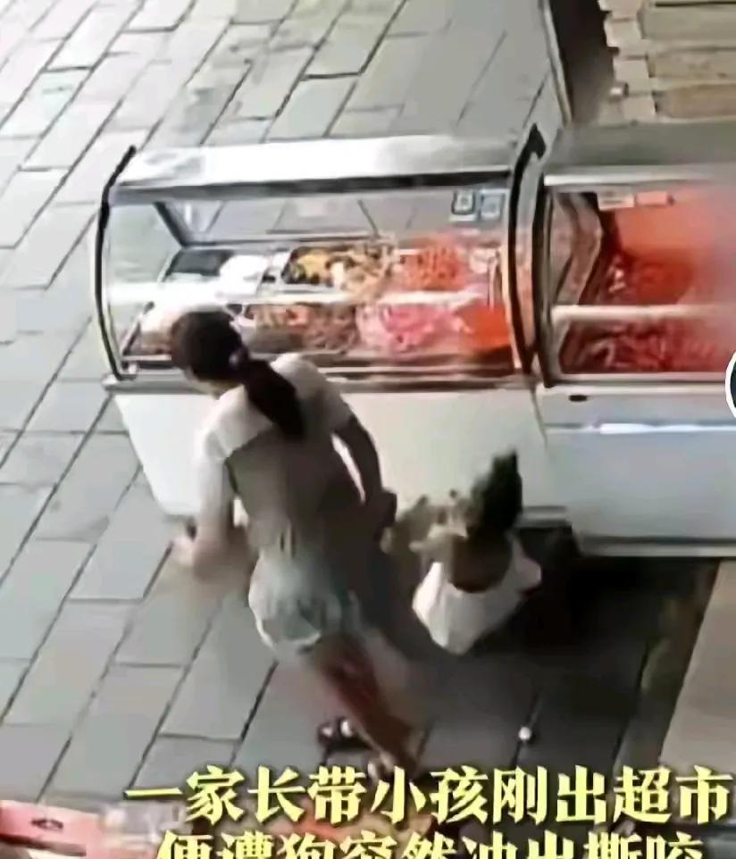 一个家长带孩子刚出来超市，便遭到狗突然窜出撕咬。
小孩子太可怜了，无端遭受这样的