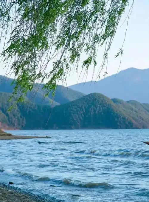#清明假期你会去哪玩#
清明时节雨纷纷，上坟路上情沉沉。
心中思念如潮涌，泪眼朦