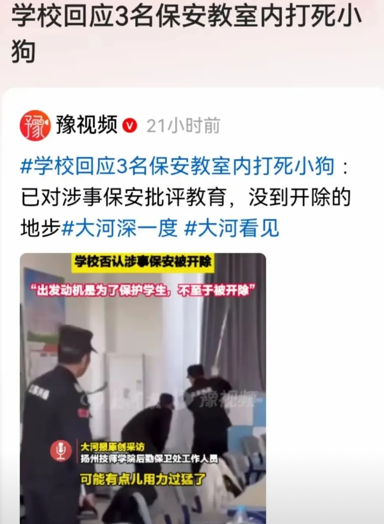 媒体指责教室内打死流浪狗的保安，若狗咬了学生会指责谁？

5月7日多家媒体报道了