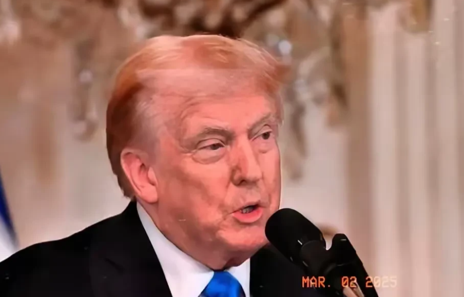 有些人啊，真是又笨又坏！

天天就盼着特朗普去收拾欧洲、乌克兰，还一个劲儿地给特