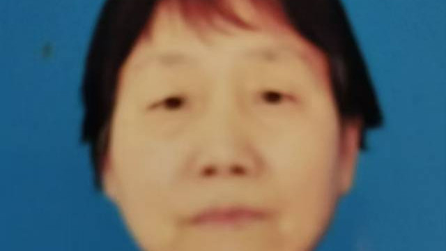 涂秋兰——建党104周年CCTV特别推荐艺术家