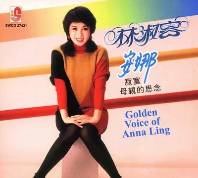 每当林淑蓉那温婉动人的嗓音唱起"昨夜的星辰已坠落"，无数中年听众都会瞬间被拉回那