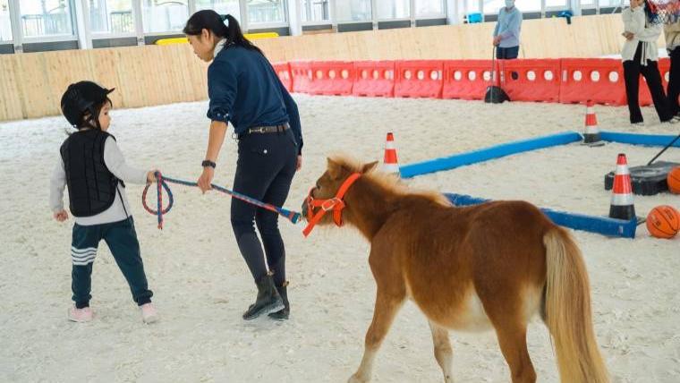 “马”上出发！三六六青少年马术体验营：触摸、感知、骑行、创造