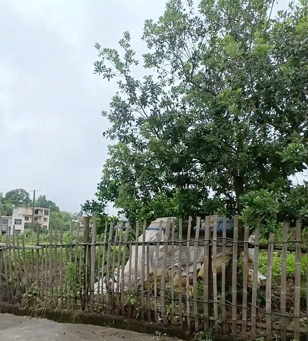 昨天和一个婚介所朋友聊女生择偶建议，朋友给了几条建议，我表示赞同：



婚姻大