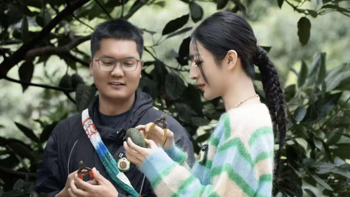 那个在云南种牛油果的90后大萌，竟然悄悄和薇娅团队“锁死”了！