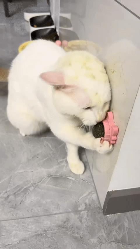 这孩子算是废了！[大笑]