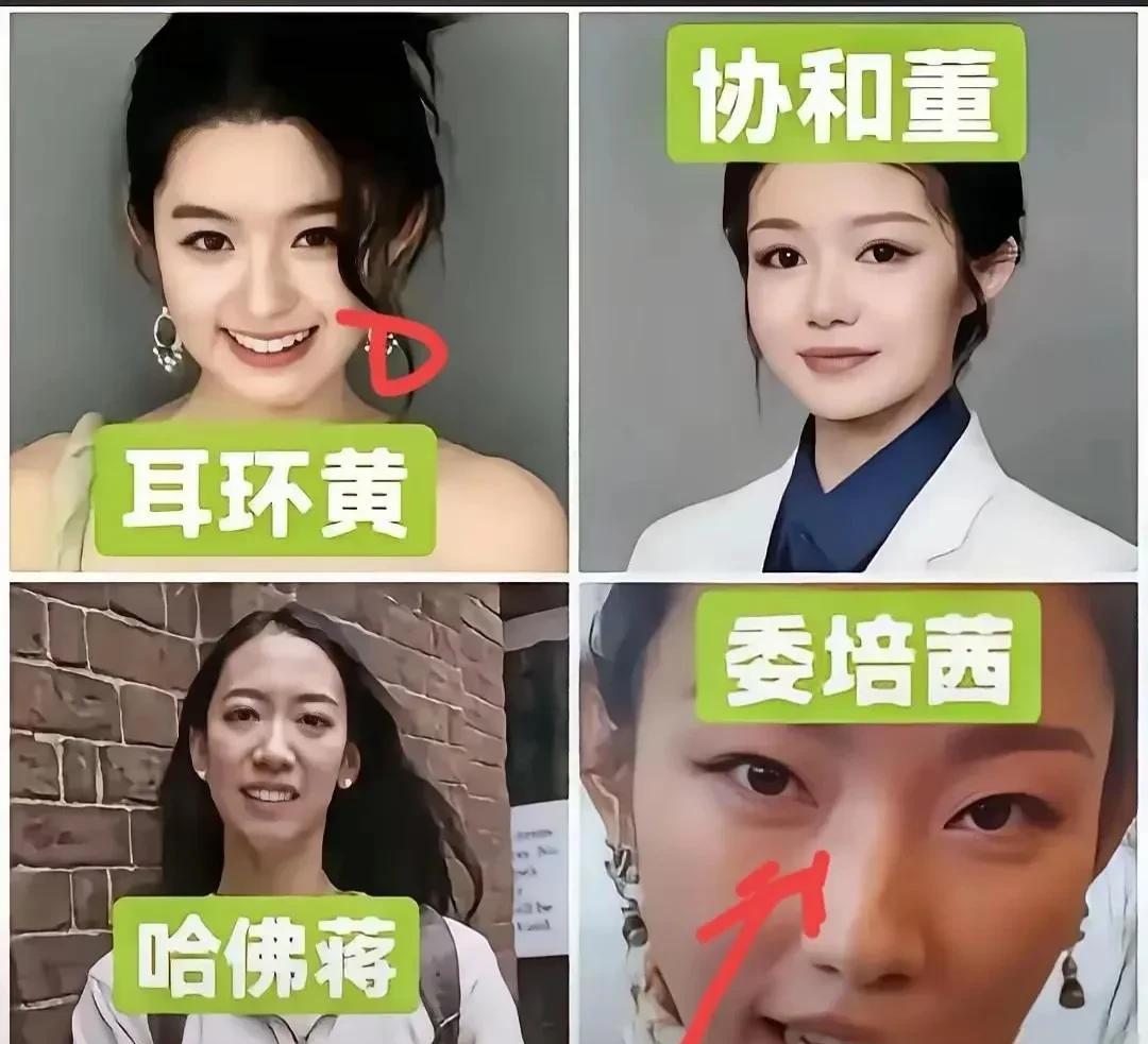 四大坑祖宗的女娃，耳环黄，协和董，哈弗蒋，委培的茜。不但自己一败涂地，还坑的父母
