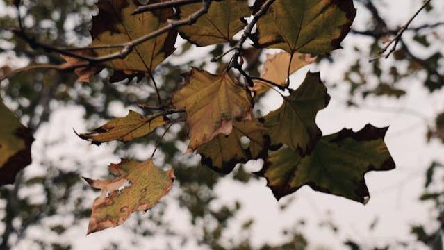 安遇情感：分手后这么做，让挽回的愿望成真