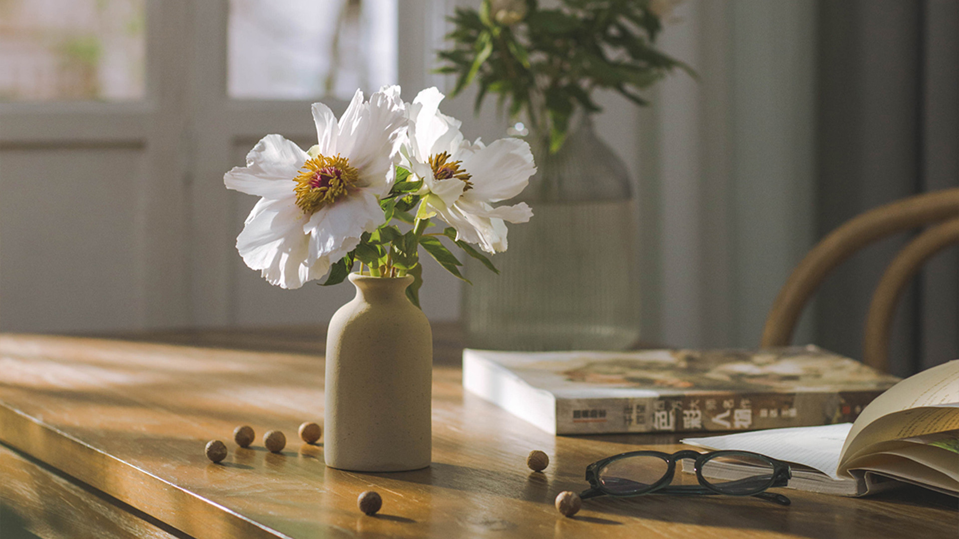 新芝学术，解析||论文二三作者加分取消？背后的深层逻辑与应对之道！