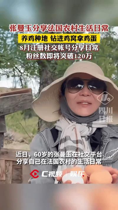 离开聚光灯的张曼玉，在法国农村过着平淡日子。清晨她会钻进自家的鸡窝，小心翼翼地把