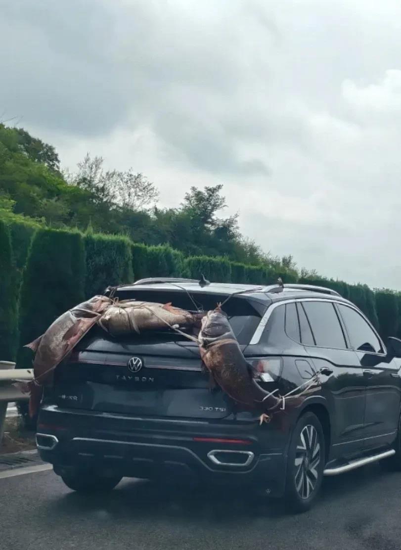 请问一下，这个算超载吗？