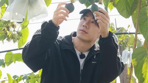《种地吧3》下期精彩：少年滇里寻热情果 王阳丝滑融入栽苗