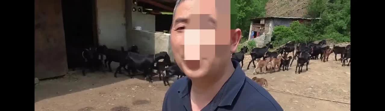 王胖的姐夫哥曾经说过，他其实啥都没养   
 
 
那次带货姐夫哥分了六万