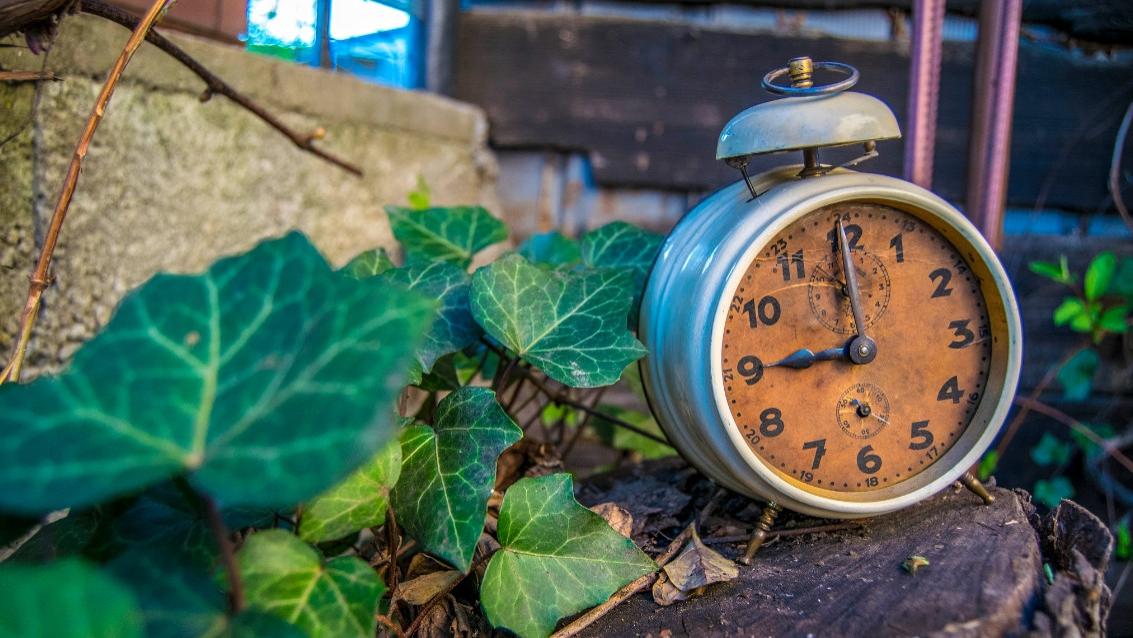 真正的奢侈，是把时间浪费在生活琐事上！