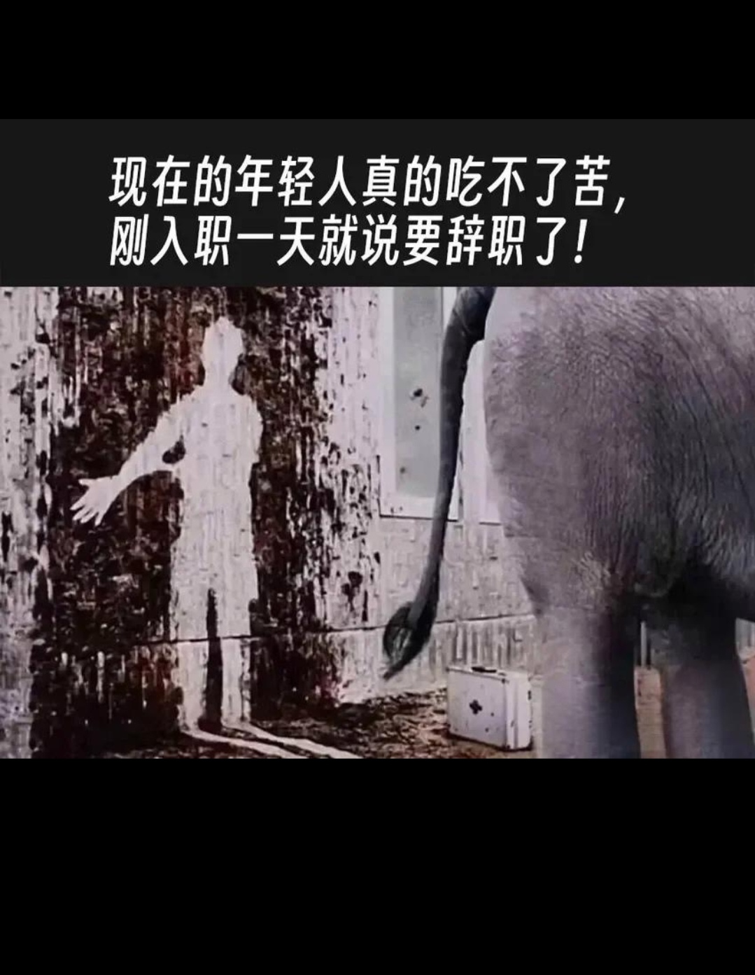 绘画能力倒是挺好的