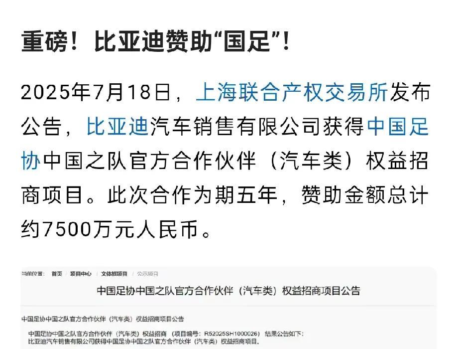无论如何也不明白比亚迪在国足最臭时进行赞助，这是对国足败绩的奖励吗！？这行动对B