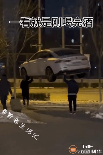 看了这个视频后，毫无疑问，我深信“鲁智深倒拔杨柳” ……