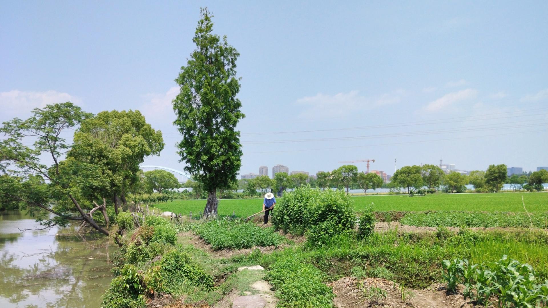 为保障生命与种族延续，大自然形成了一套奖惩机制