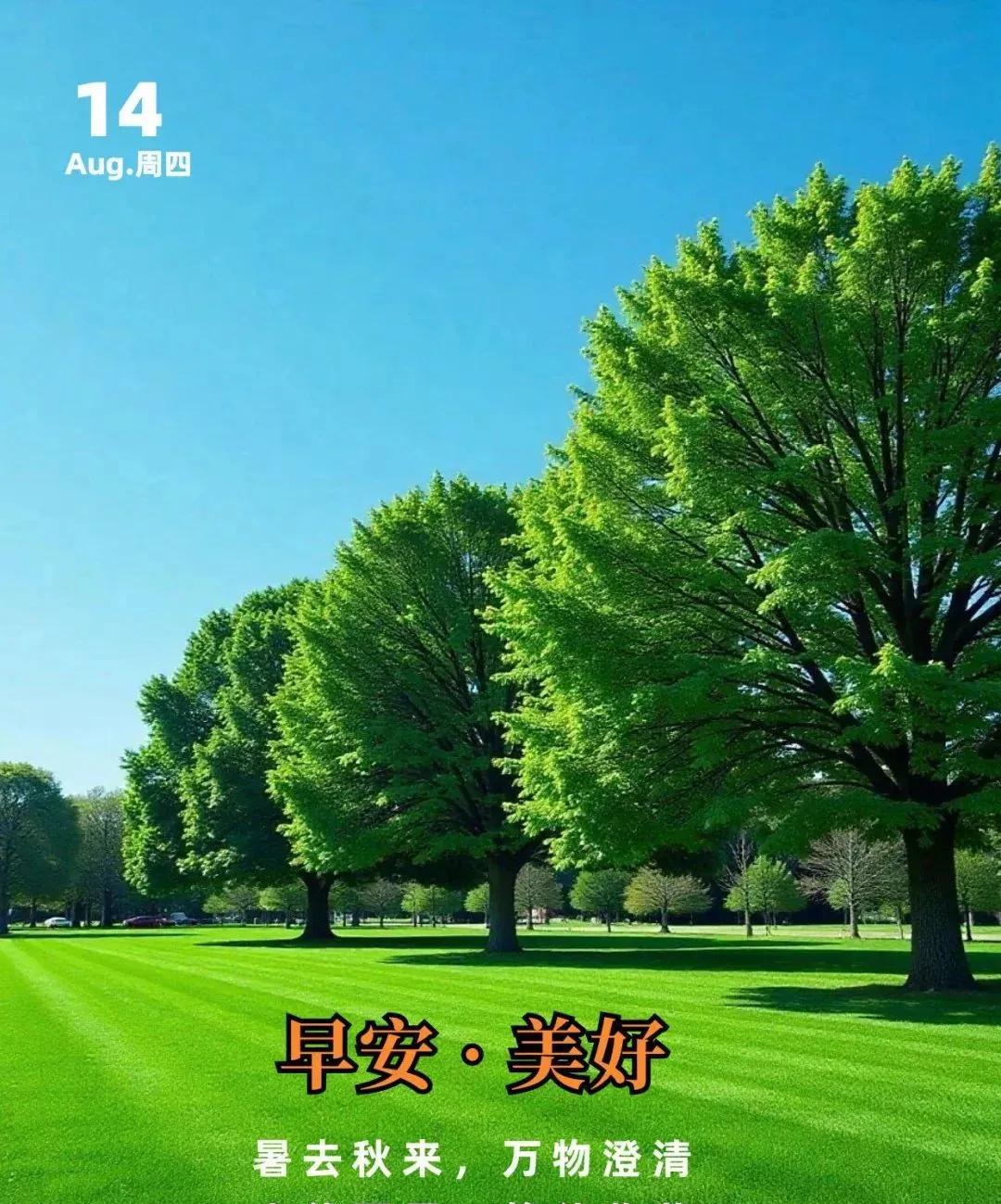 《武陵春·新晨志怀》
旧页撕除新日启，诸事待重描。
莫恋从前憾事遥，前路盼昭昭。
