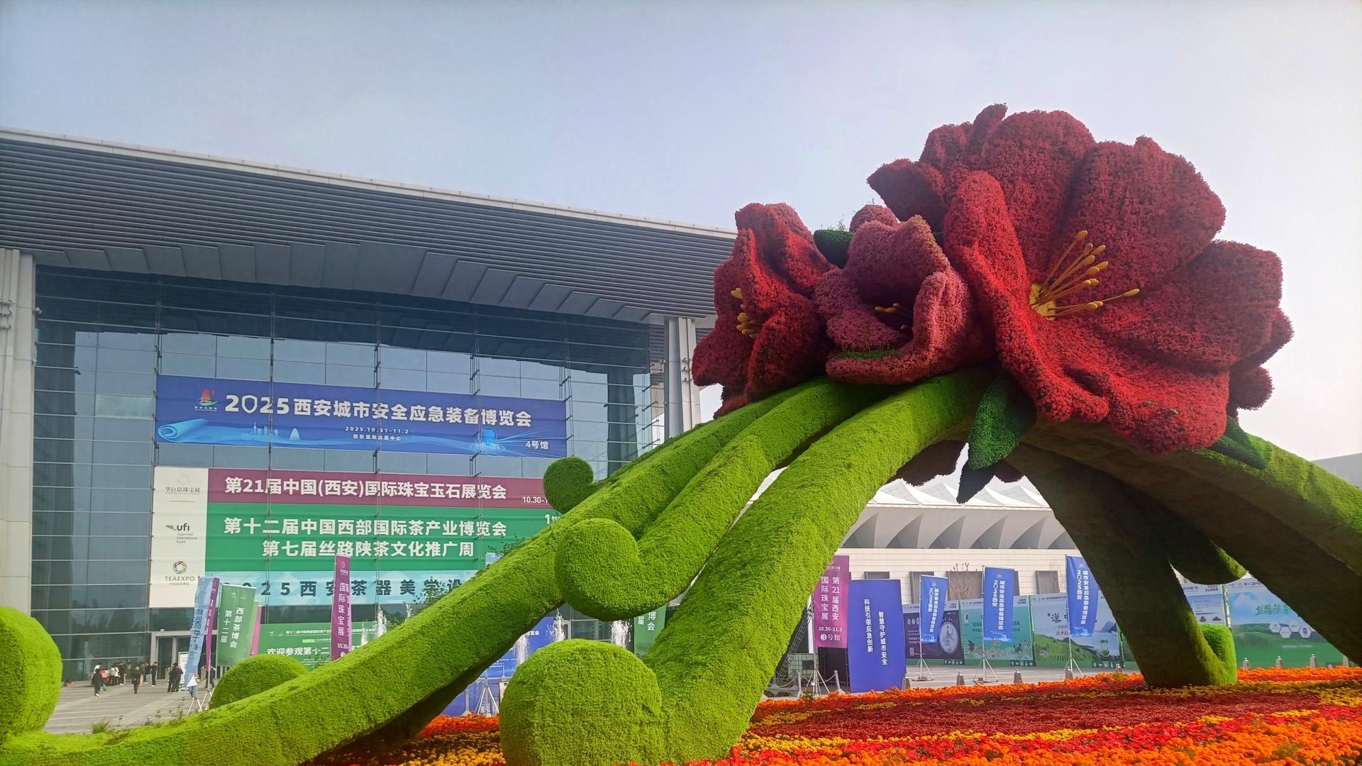 西安茶博会纪实