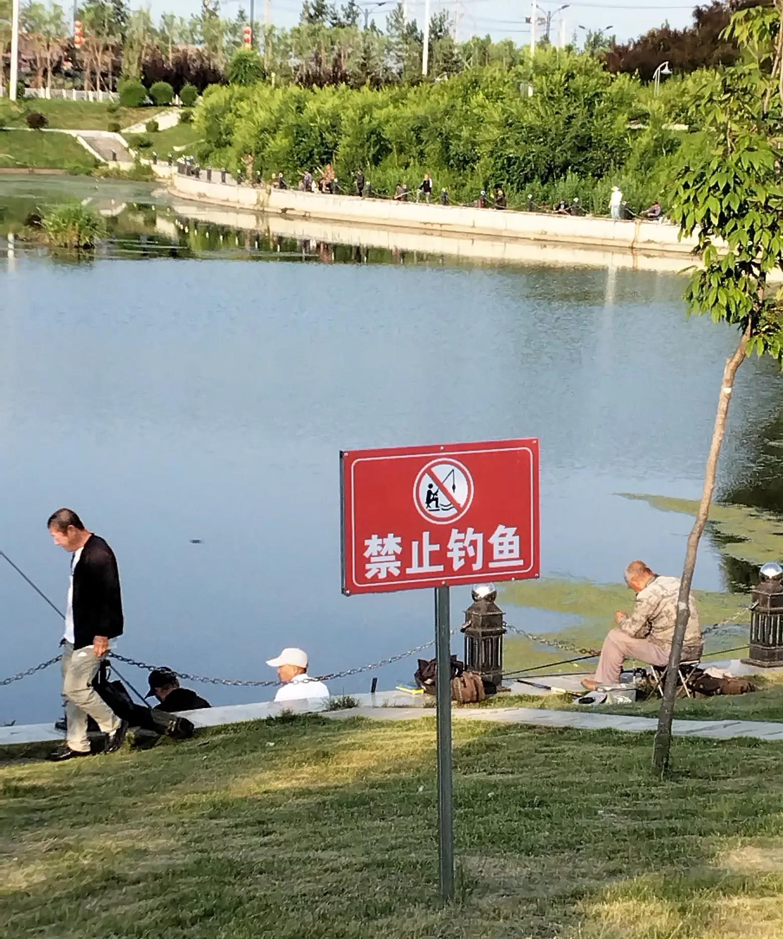 中国现象明明写着禁止，可还是多人在做！