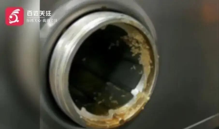 “太恶心了！”浙江余姚，家长在学校陪餐时，发现食堂绞肉机内有大量蛆虫，而且都是活