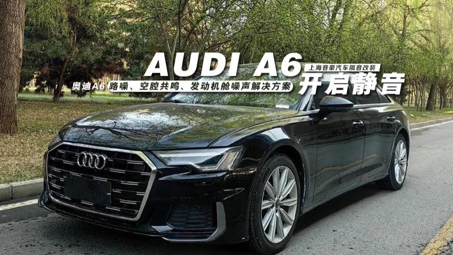 奥迪A6&路噪、空腔共鸣、发动机舱噪声解决方案