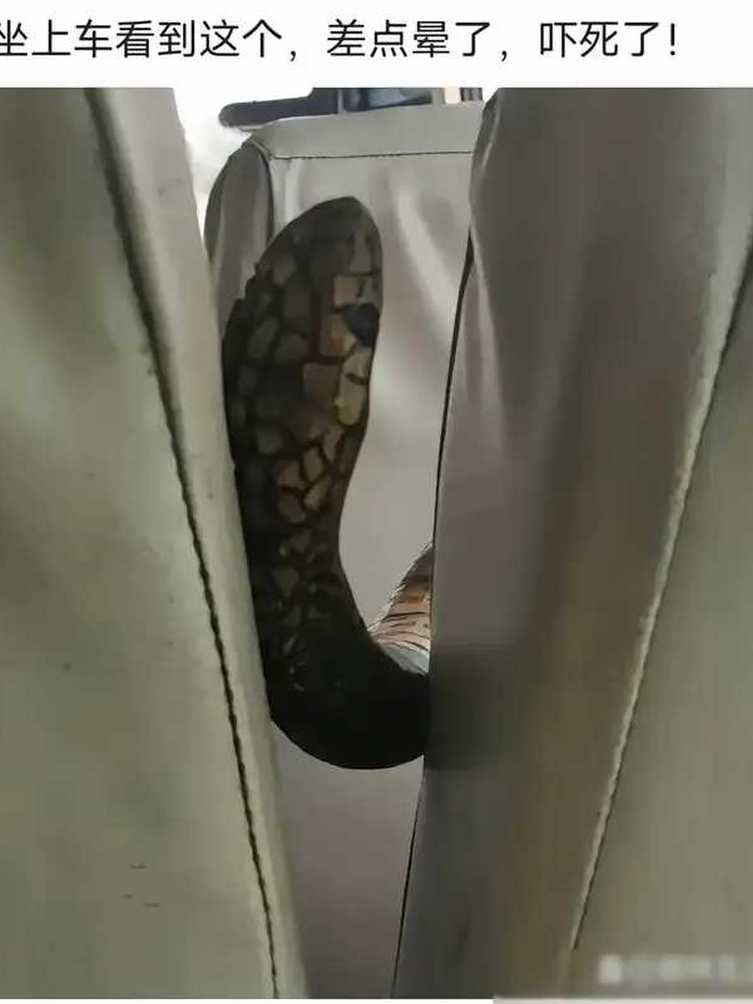 聊了半个小时，还是搞不清楚是什么情况。