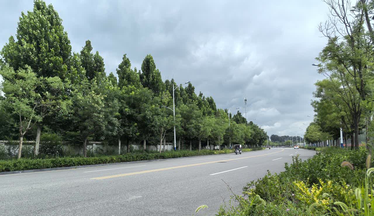 现在的日本，实在是太过于匪夷所思。靖国神社里面还供奉着大量双手沾满中国人鲜血的战