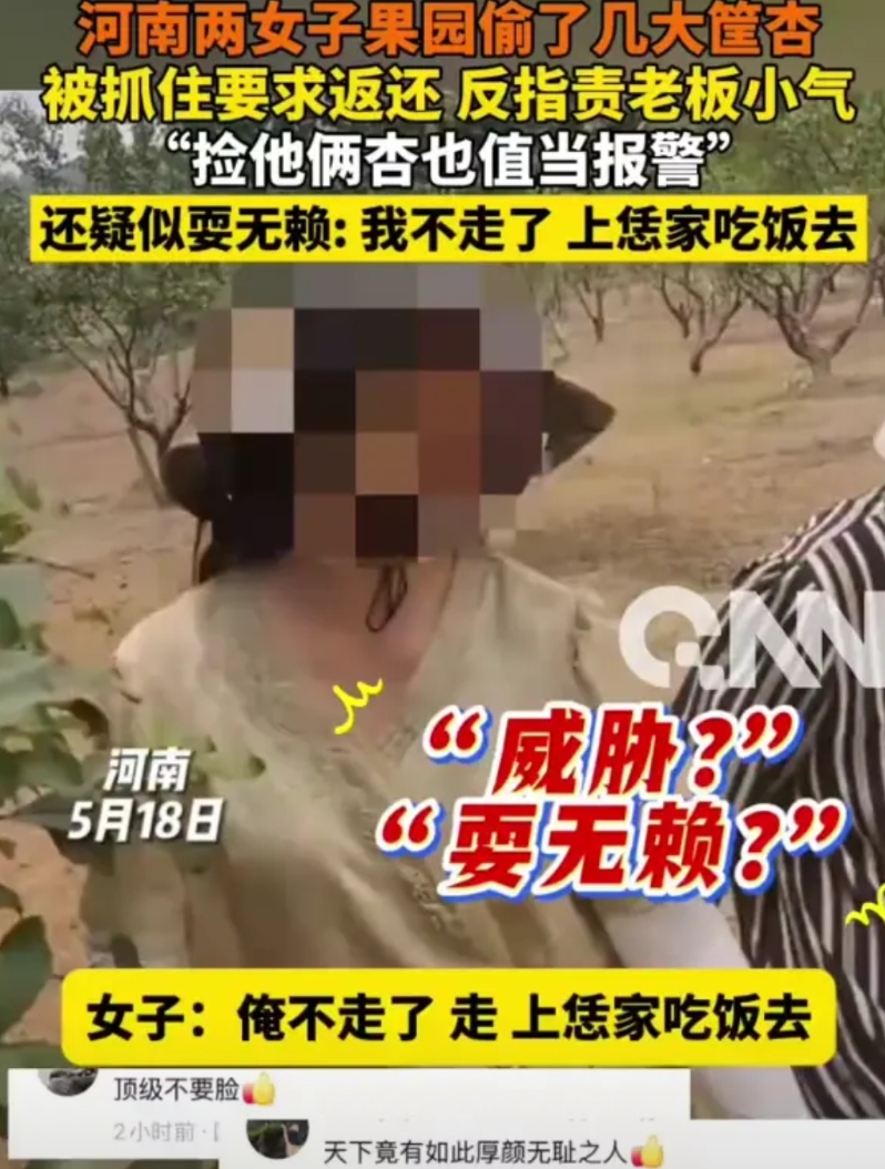 奇葩！河南，两女子在果园偷了几大筐杏被老板抓住，不料，两人不但没有歉意，反而在要