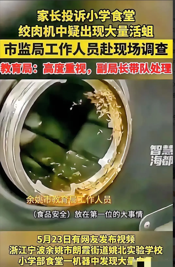 浙江省A级学生食堂，竟然让孩子们吃“蛆虫拌肉”？！

5月23日，浙江余姚一家长