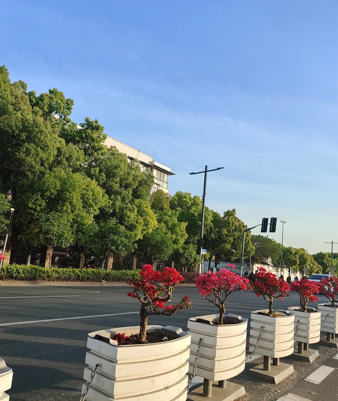 看见隔壁王叔家又吵架了，老两口指着儿子骂，说他没出息，可他们自己除了种地啥都不会