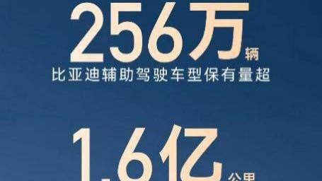256万 +用户、日均1.6 亿公里数据， 比亚迪让全民智驾照进现实