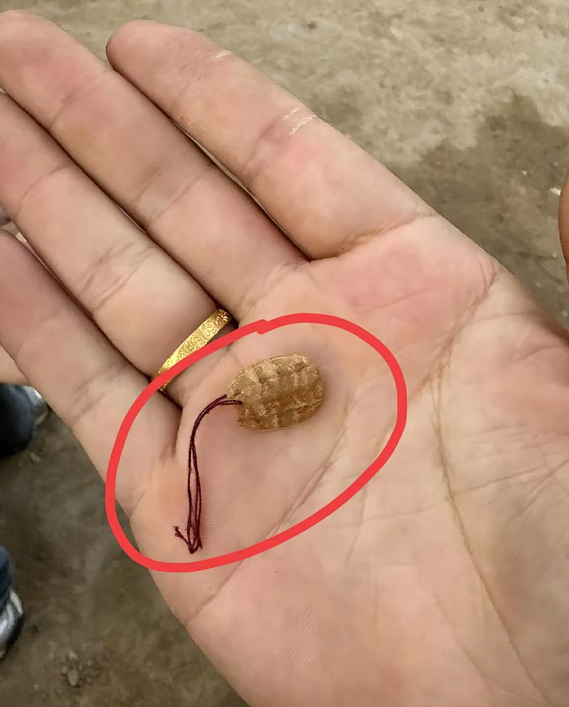 就这个小东西还有几个人认识，我猜只有70.80后认识了，以前经常带在手上的，听老