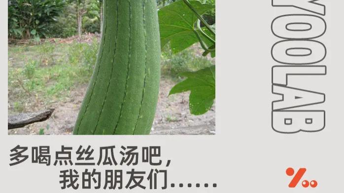 连汉堡芯子都是用丝瓜做的！今年最窒息的梗，怎么被塔斯汀和瑞幸抢着玩？