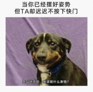 怎么还不拍，我该做什么表情?