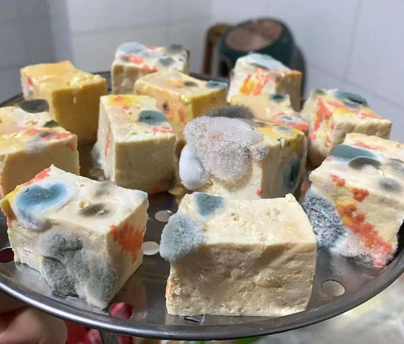 第一次做霉豆腐，应该算成功了吧？