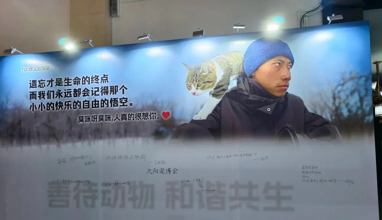 沈阳宠物展上大分，悟空赵朔大幅宣传展板。
      爱悟空的网友发来沈阳宠物展