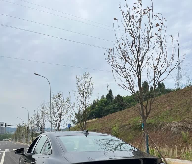 看不上新能源，
选择了迈腾，
但是说实话真的后悔了！因为大众迈腾380是真的