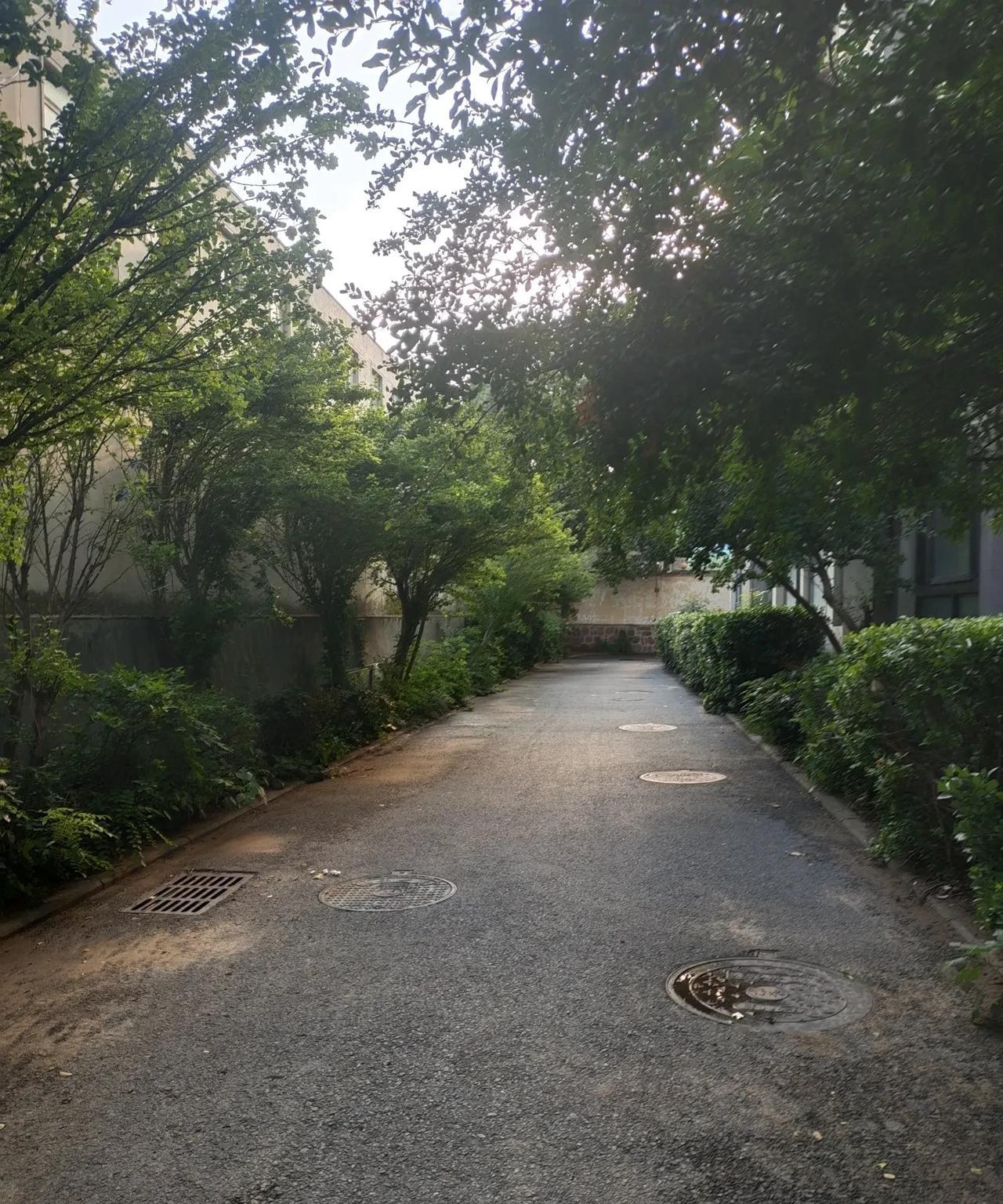 我一个嫂子学驾照，去学了两次就不去了，因为刚一上车她不会打火，就被教练凶着喊下车