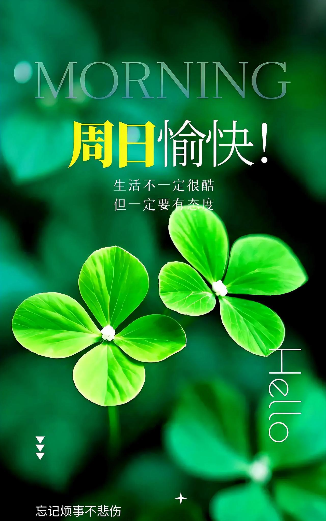 晨光熹微送吉兆，
亲切问候如春潮。
日日佳音耳边绕，
美好祝福韵中飘。
岁岁身康
