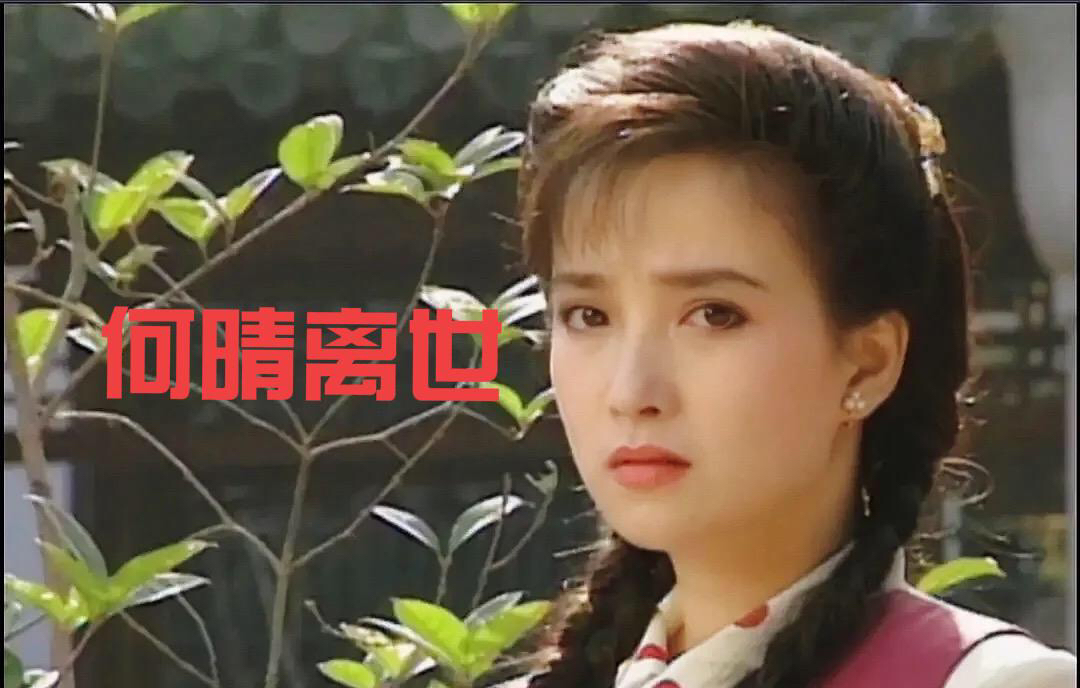 自古美人如名将 不许人间见白头。她是琼瑶剧中美丽动人的华又琳，是《情剑山河》里的
